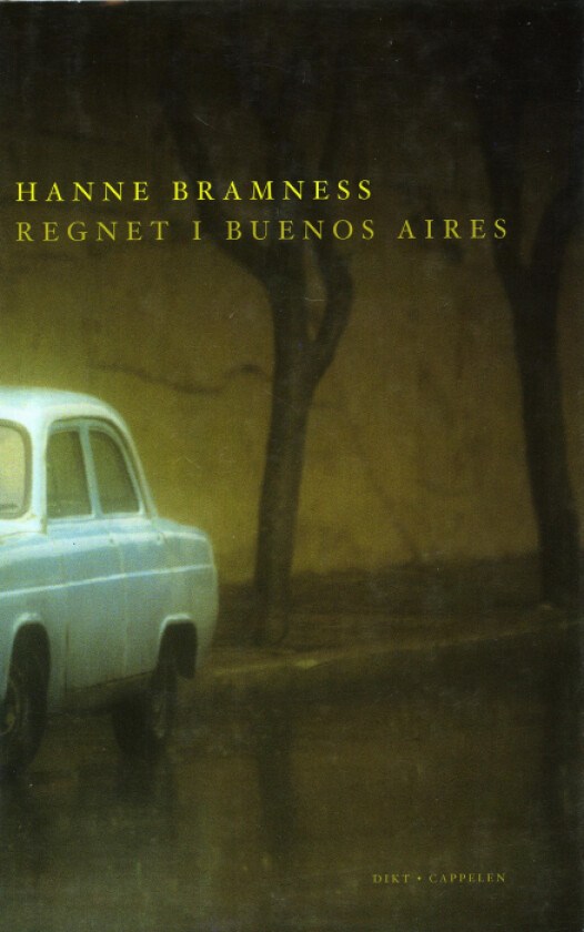 Regnet i Buenos Aires av Hanne Bramness