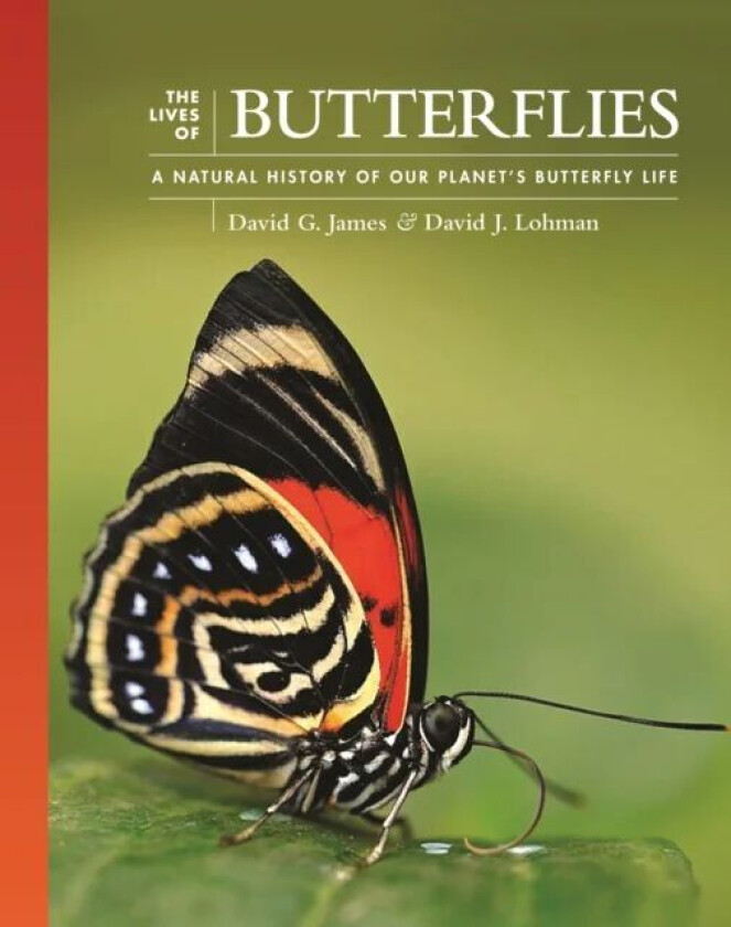 The Lives of Butterflies av David G. James, Dr David J. (Associate Professor) Lohman