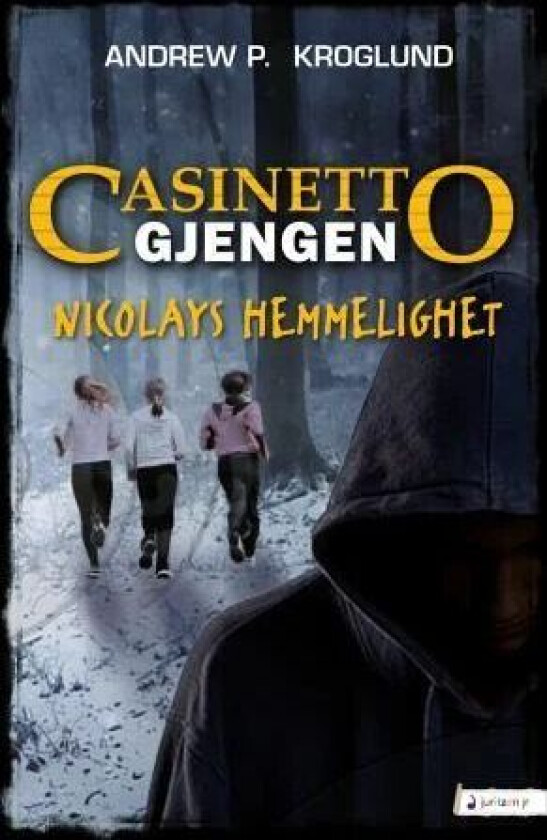 Nicolays hemmelighet av Andrew P. Kroglund