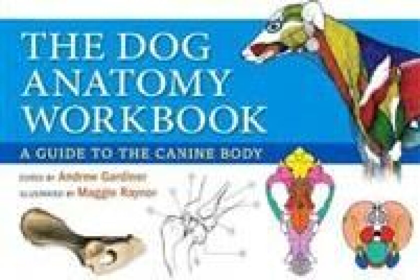 Dog Anatomy Workbook av Andrew Gardiner