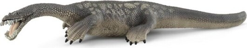 Nothosaurus