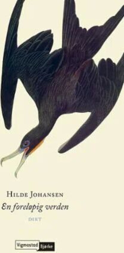 En foreløpig verden av Hilde Johansen