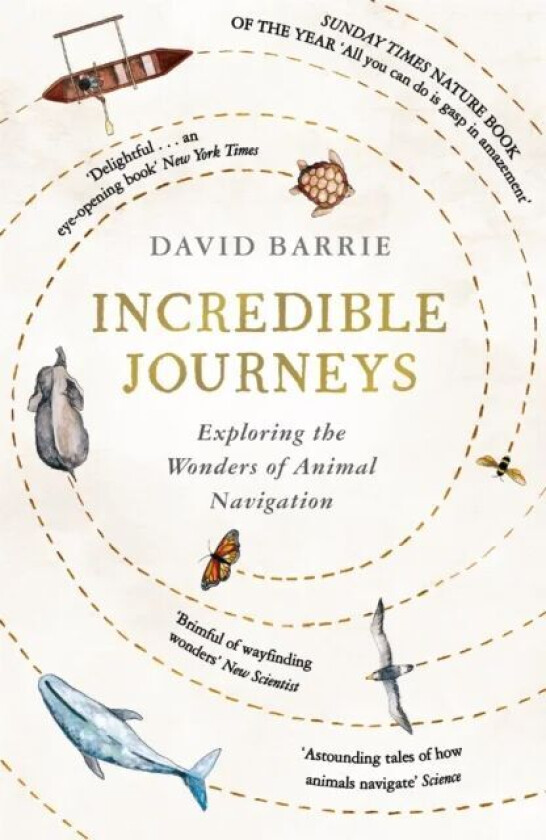 Incredible Journeys av David Barrie