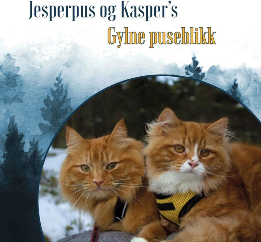 Jesperpus og Kasper's gylne puseblikk av Einar Nymoen, Aina Stormo