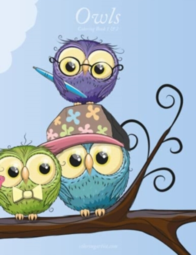 Owls Coloring Book 1 & 2 av Nick Snels (Paperback)