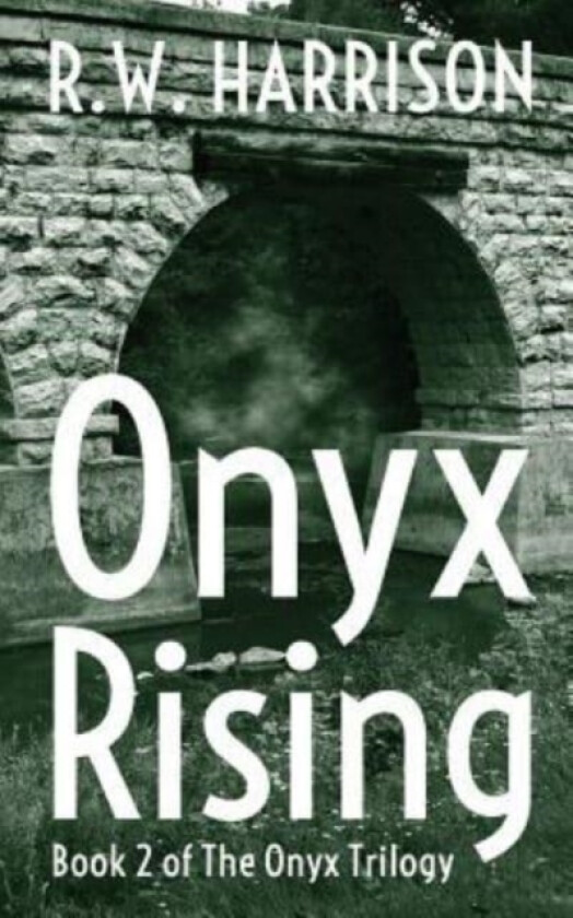 Onyx Rising av R W Harrison (Paperback)