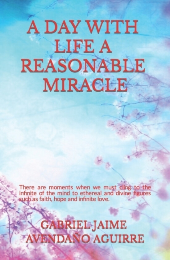A Day With Life A Rasonable Miracle av Gabriel Jaime Avendano Aguirre (Paperback)