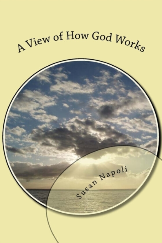 A View of How God Works av Susan Devine Napoli (Paperback)