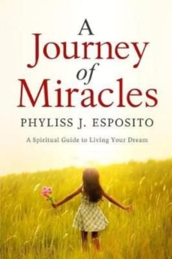 A Journey of Miracles av Phyliss Esposito (Paperback)