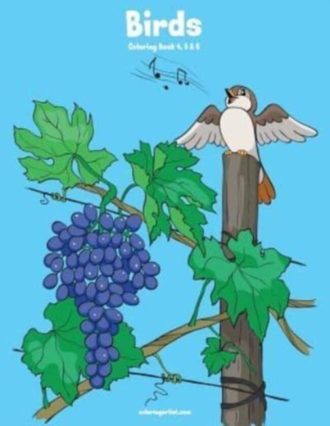 Birds Coloring Book 4, 5 & 6 av Nick Snels (Paperback)