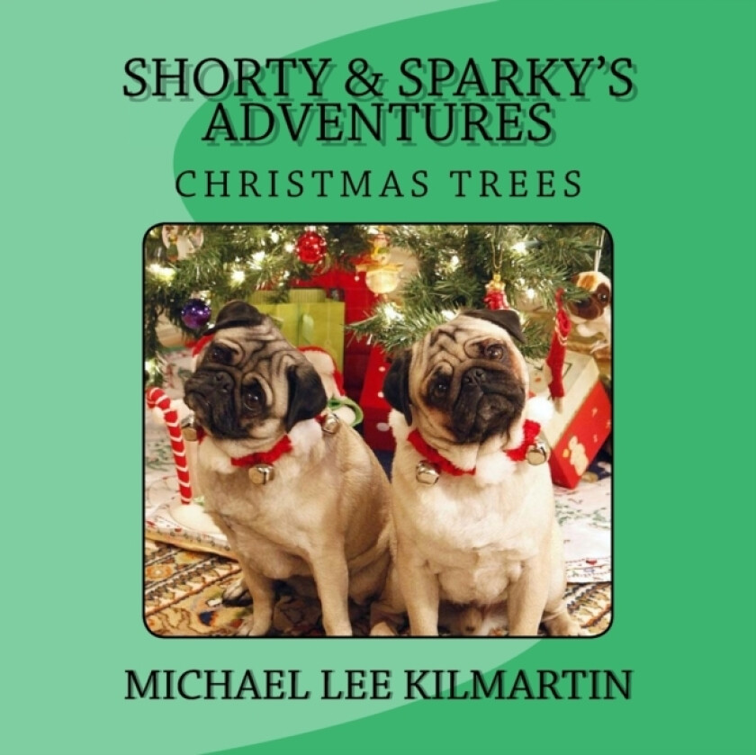 Shorty & Sparky's Adventures av Michael Lee Kilmartin (Paperback)