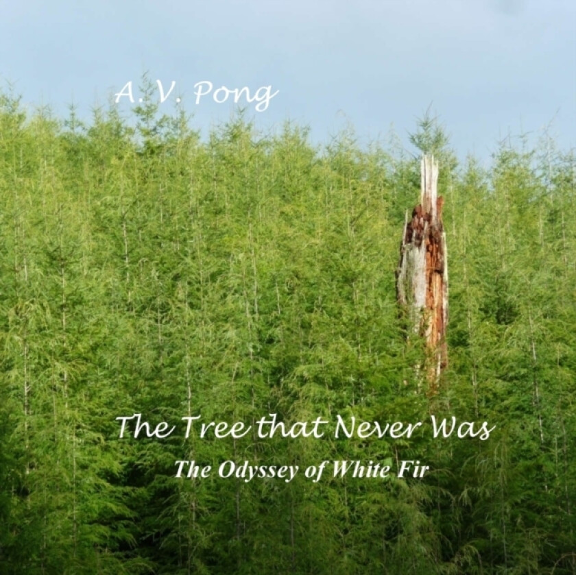 The Tree That Never Was, The Odyssey of White Fir av A V Pong (Paperback)