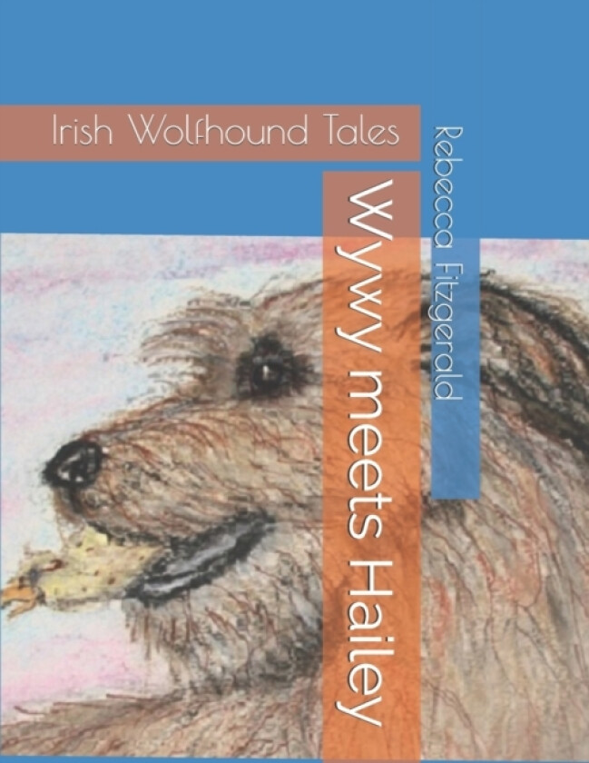 Wywy meets Hailey av Rebecca Eileen Fitzgerald (Paperback)