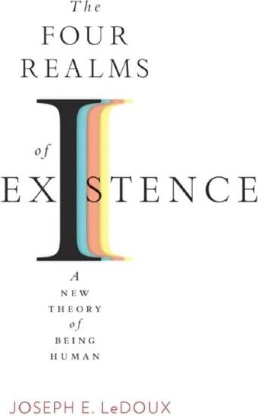 The Four Realms of Existence av Joseph E. LeDoux