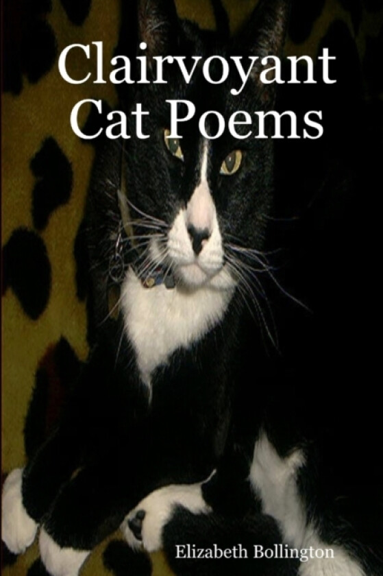 Clairvoyant Cat Poems av Elizabeth Bollington (Paperback)