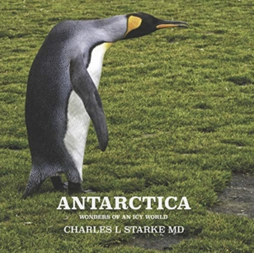 Antarctica av Charles L MD Starke (Paperback)