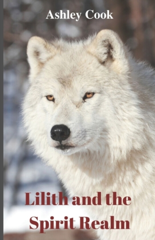 Lilith and the Spirit Realm av Ashley Cook (Paperback)