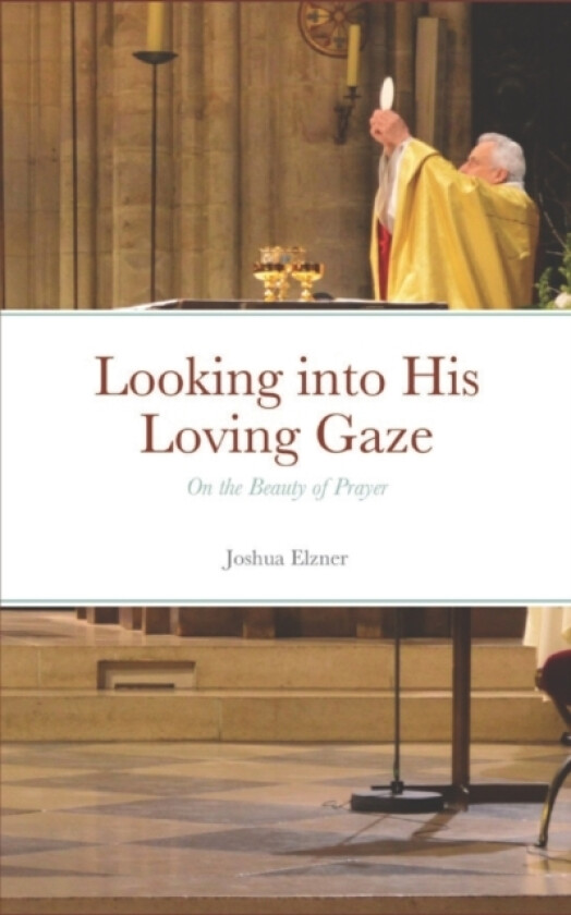 Looking into His Loving Gaze av Joshua Elzner (Paperback)