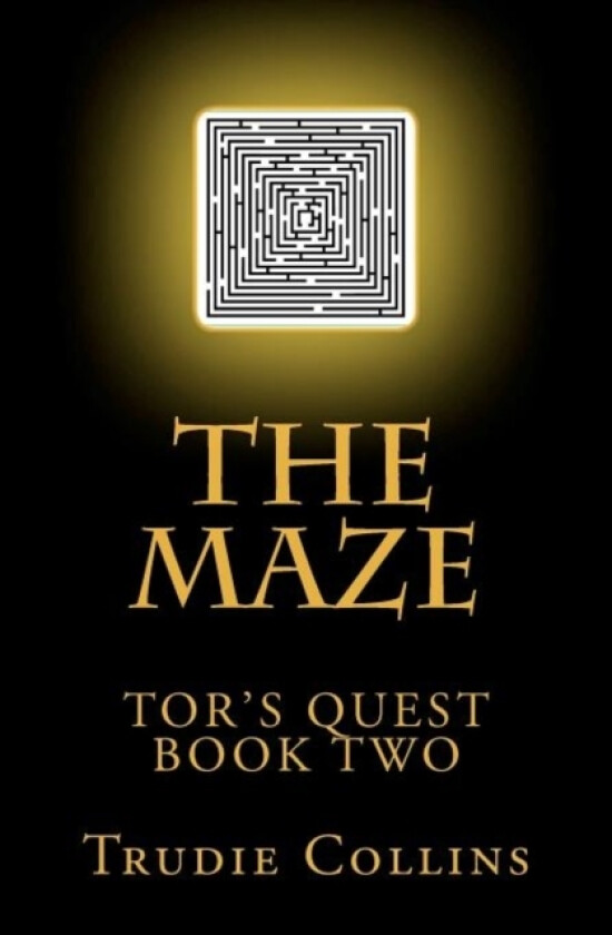 The Maze av Trudie L Collins (Paperback)