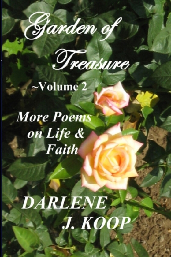 Garden of Treasure, Vol. 2 av Darlene Koop (Paperback)
