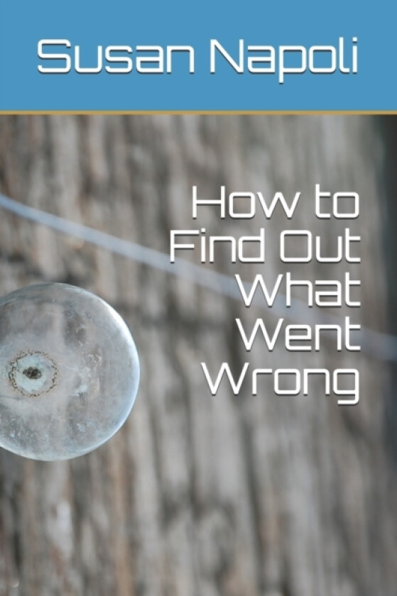 How to Find Out What Went Wrong av Susan Devine Napoli (Paperback)