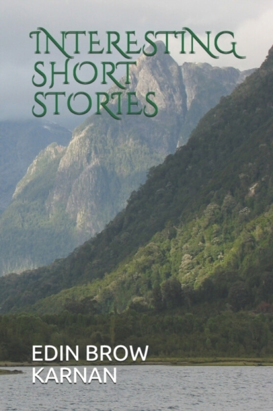 Interesting Short Stories av Karnan Y, Edin Brow (Paperback)