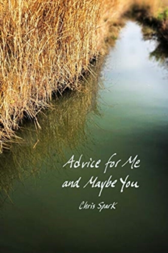 Advice for Me and Maybe You av Chris Spark (Paperback)