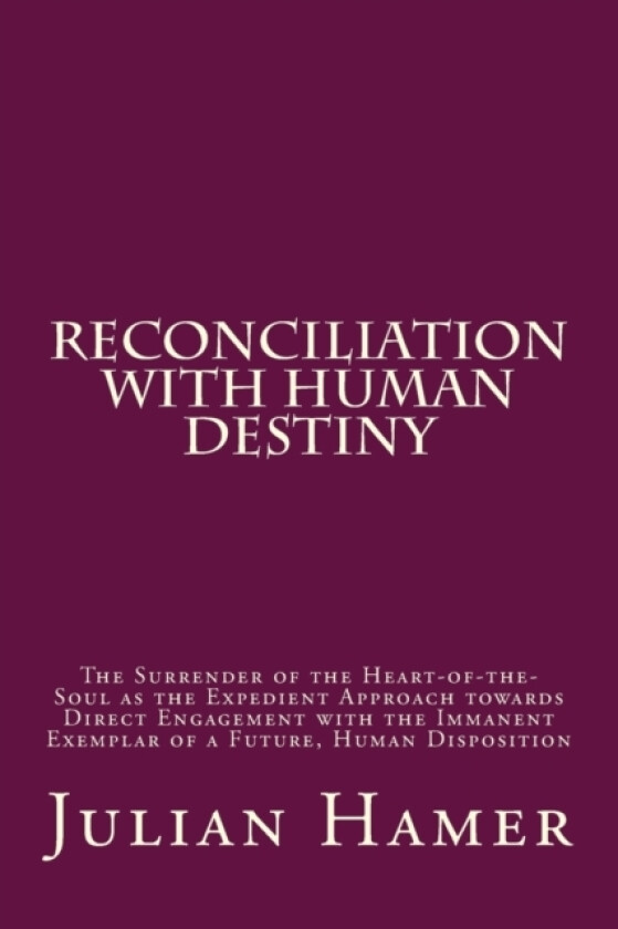 Reconciliation with Human Destiny av Julian Hamer (Paperback)