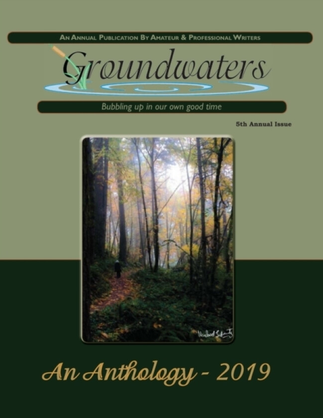 Groundwaters 2019 Anthology av Pat Edwards (Paperback)