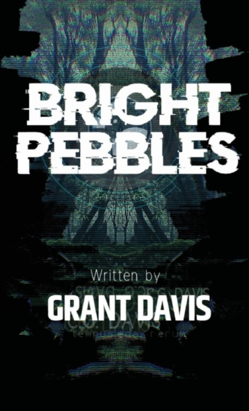 Bright Pebbles av Grant Davis (Paperback)