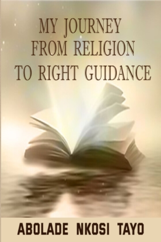 My Journey From Religion To Right Guidance av Nkosi Tayo Abolade (Paperback)