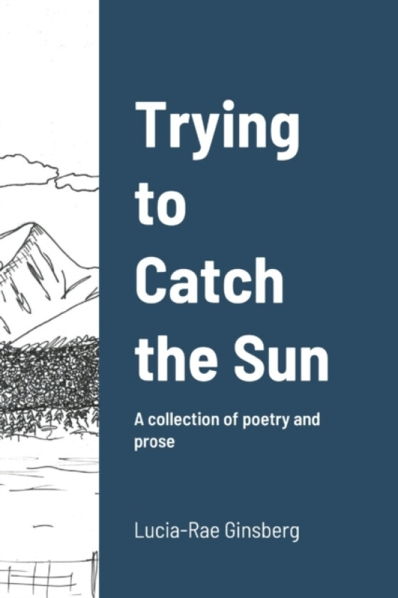 Trying to Catch the Sun av Lucia-Rae Ginsberg (Paperback)