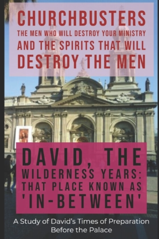 David av Dr Steven A Wylie (Paperback)