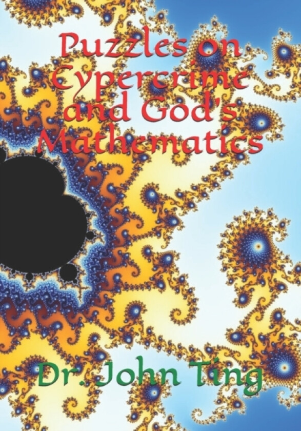 Puzzles on Cypercrime and God's Mathematics av John Ting (Paperback)