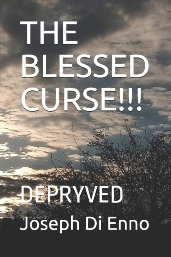 The Blessed Curse!!! av Joseph a Di Enno (Paperback)