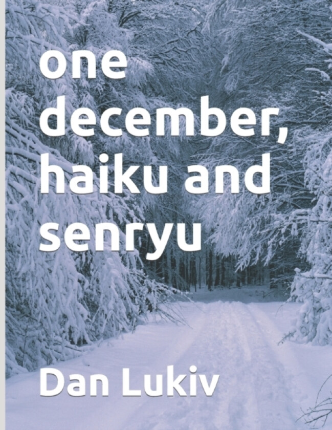 one december, haiku and senryu av Dan Lukiv (Paperback)
