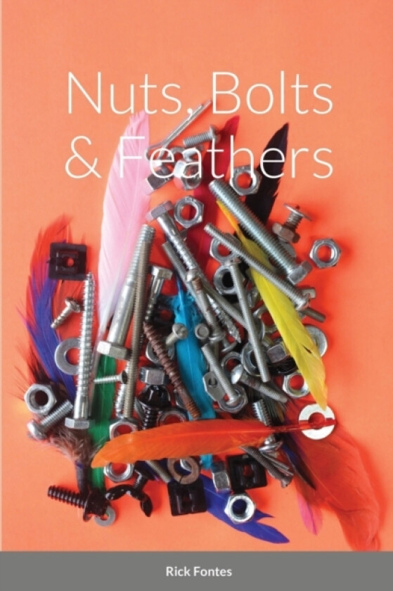 Nuts, Bolts & Feathers av Rick Fontes (Paperback)