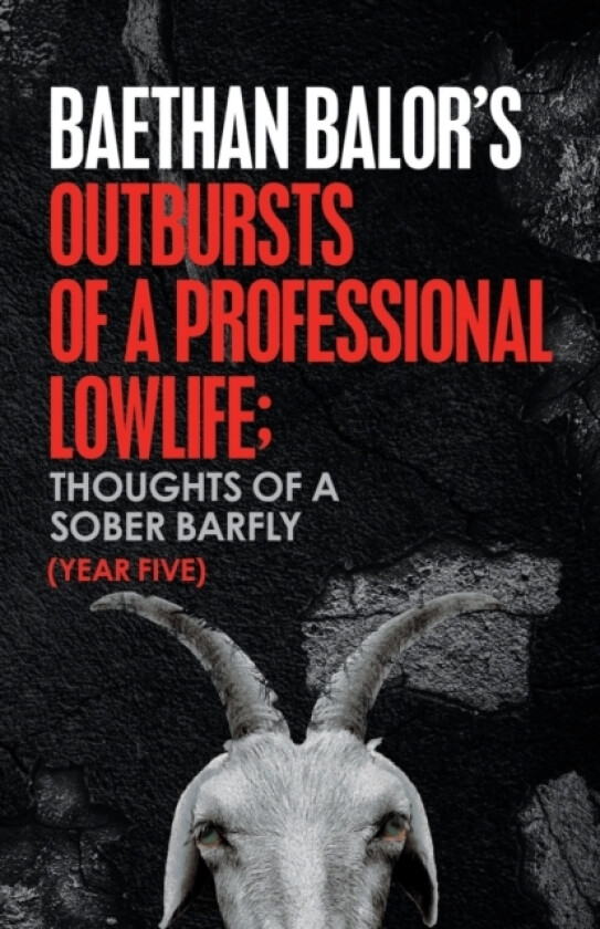 Outbursts of a Professional Lowlife; Thoughts of a Sober Barfly av Baethan Balor (Paperback)