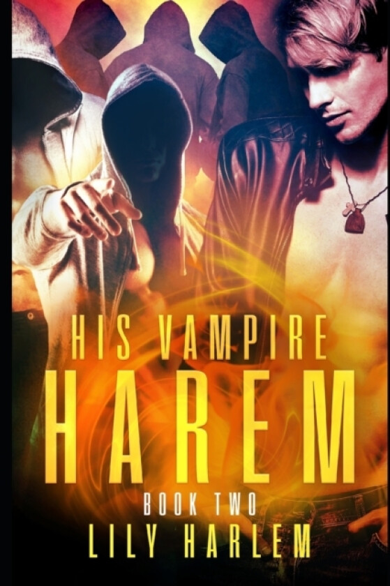 His Vampire Harem Book Two av Lily Harlem (Paperback)