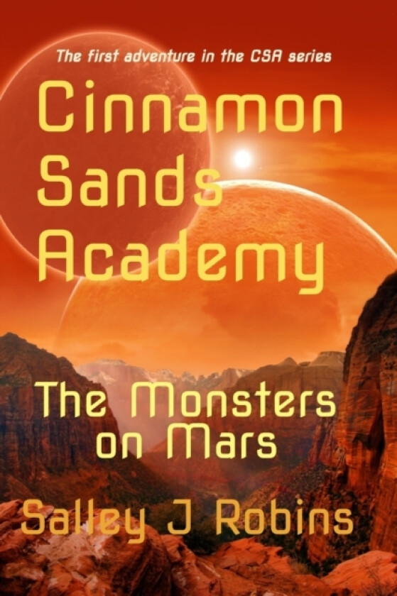 Cinnamon Sands Academy av Salley J Robins (Paperback)