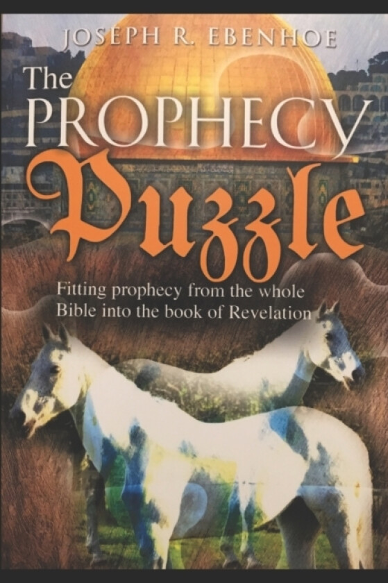 The Prophecy Puzzle av Joseph Ebenhoe (Paperback)