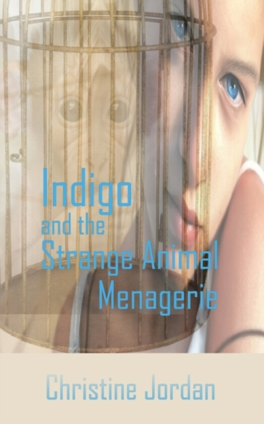 Indigo and the Strange Animal Menagerie av Christine Jordan (Paperback)