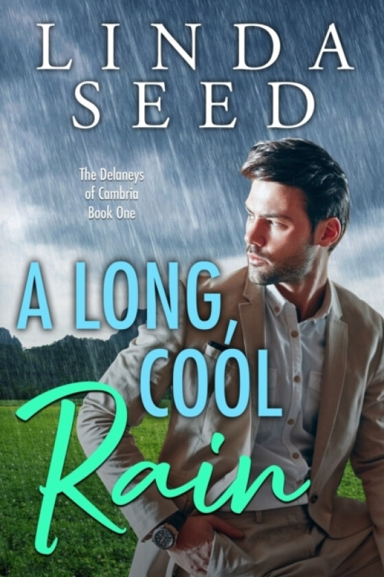 A Long, Cool Rain av Linda Seed (Paperback)