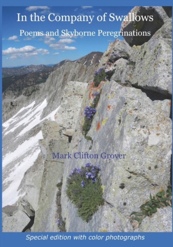 In the Company of Swallows av Mark Clifton Grover (Paperback)