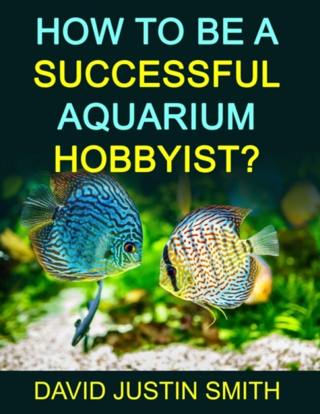How to be a Successful Aquarium Hobbyist av David Justin Smith (Paperback)