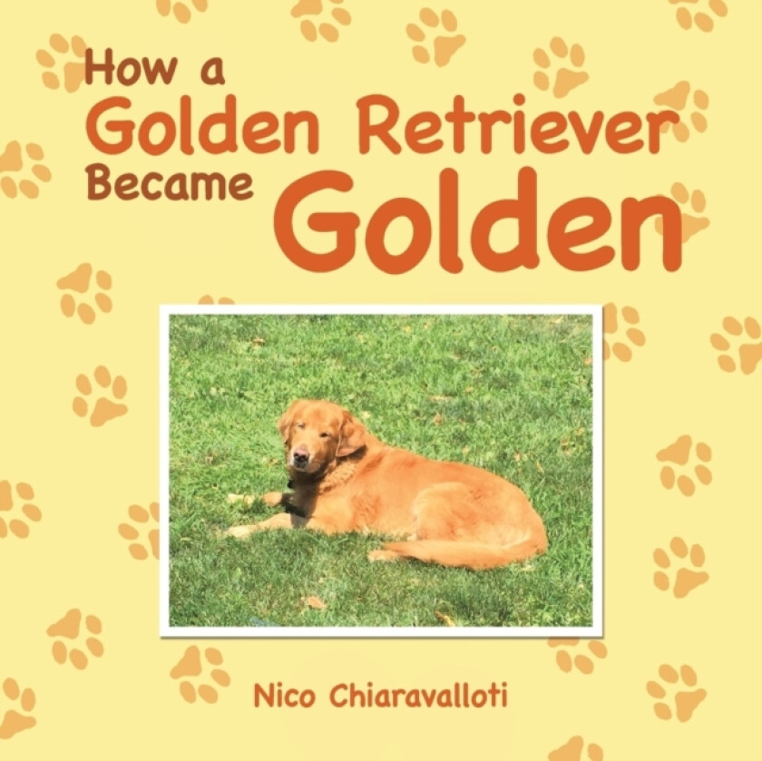 How a Golden Retriever Became Golden av Nico Chiaravalloti (Paperback)