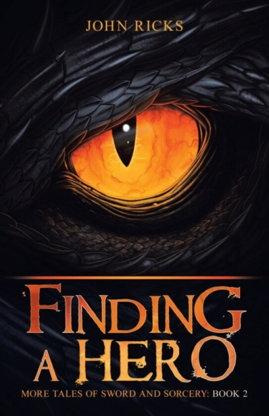 Finding a Hero av John Ricks (Paperback)