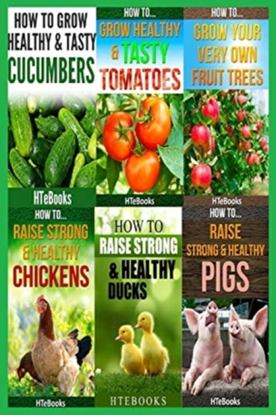 6 books in 1 av Htebooks (Paperback)