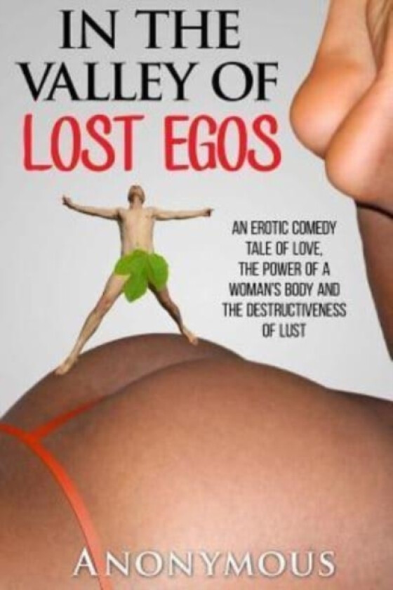 In the Valley of Lost Egos av Anonymous (Paperback)