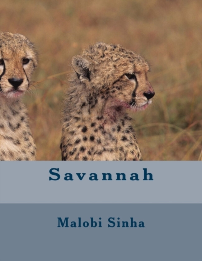 Savannah av Malobi Sinha (Paperback)